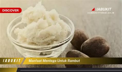 mentega terbaik untuk rambut